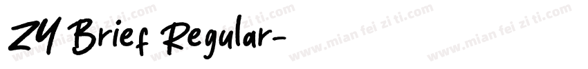 ZY Brief Regular字体转换